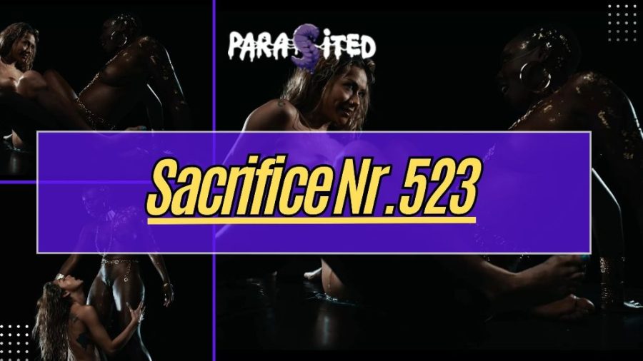 Sacrifice Nr. 523